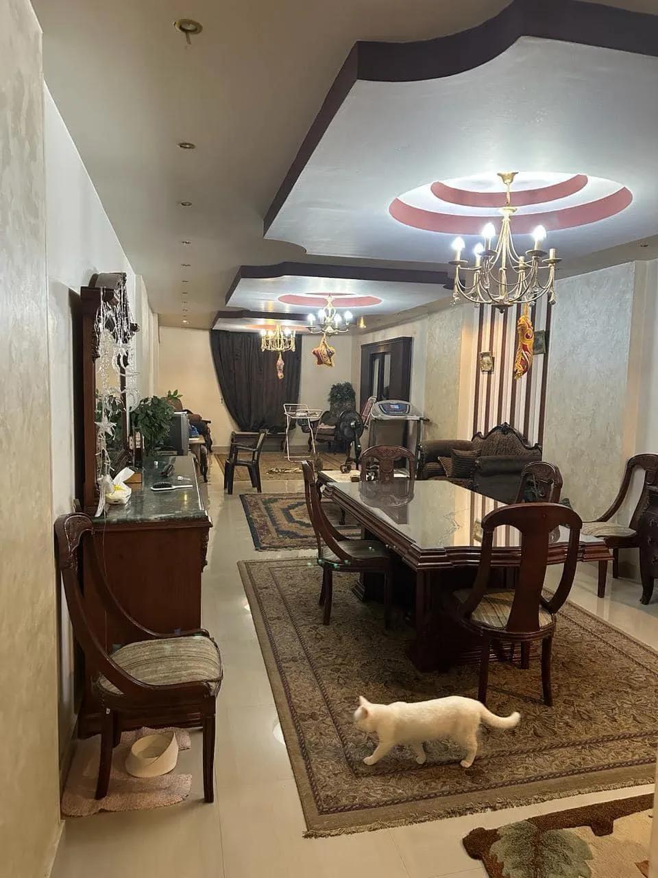 شقة لقطة في المريوطية الرئيسي