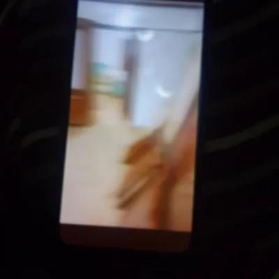 شقه غرفتين وصاله ومطبخ وحمام في المنتزه, الإسكندرية - 0 جنيه