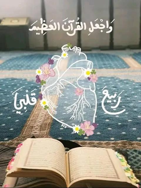 شقق تمليك والايجار بالمعادي