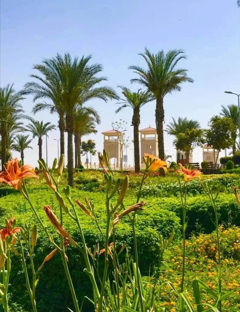 شقة للبيع في مناطق اخرى في القاهرة