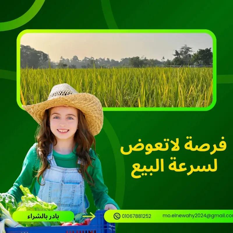 مزرعه مواشي وارض زراعيه وسكن للمعيشه