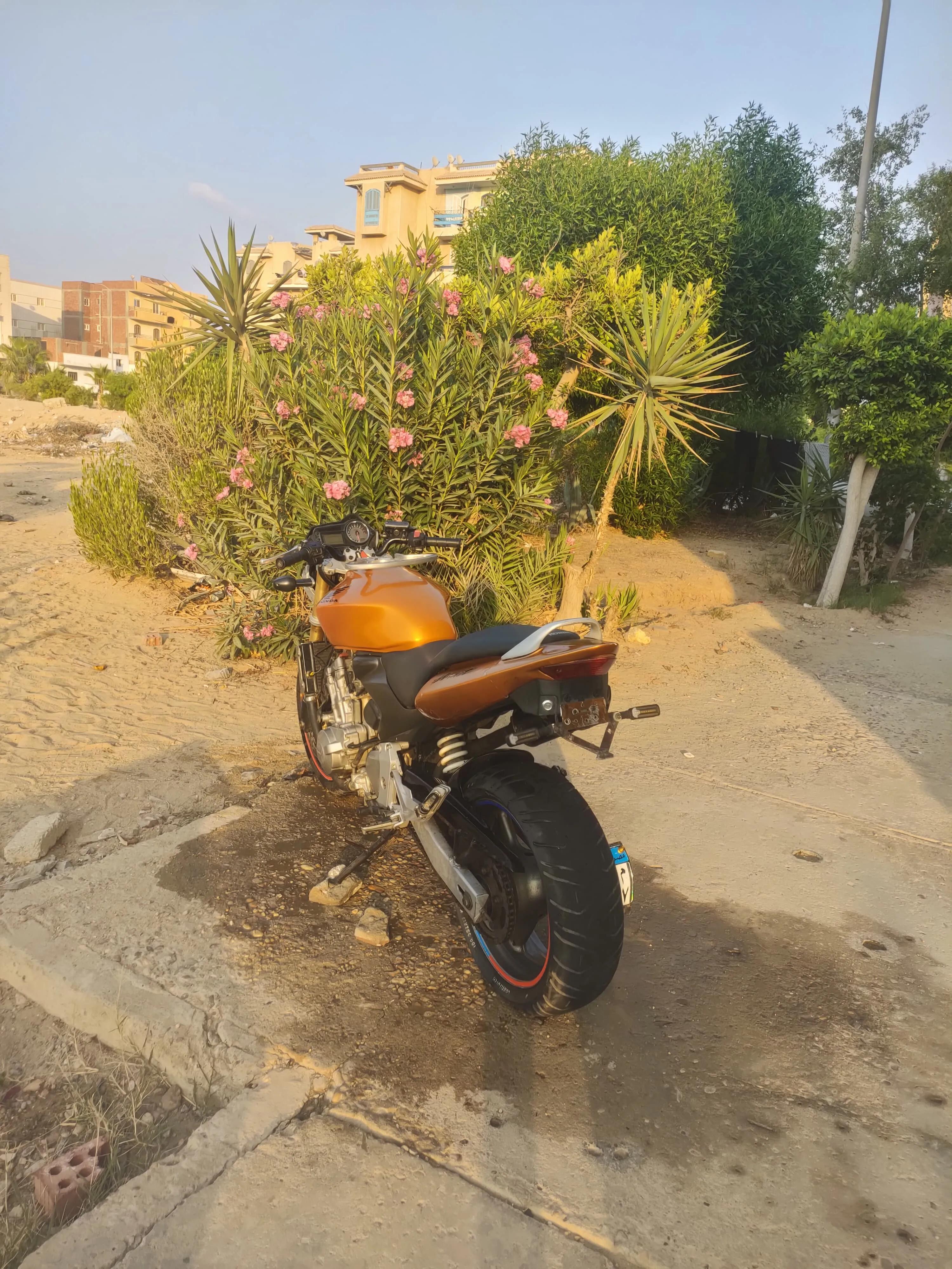 هوندا هورند 600