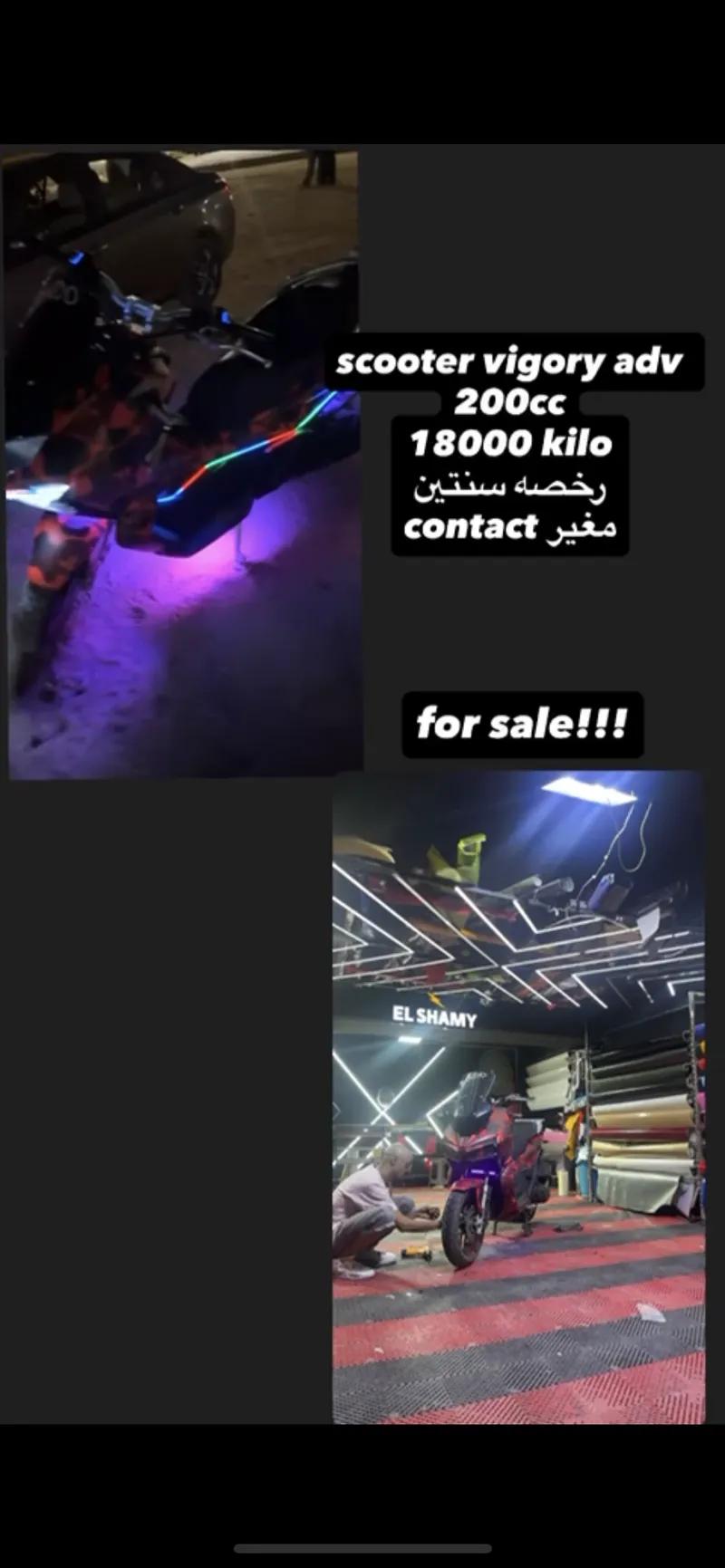 فيجوري adv 2024